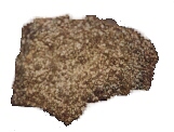 lmarca.jpg (12338 bytes)