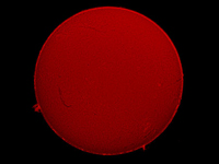 Solar Prominances (Sun)