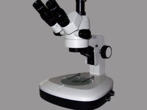 Stereo Microscope