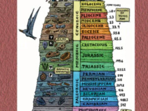 Time Scale Wall Chart