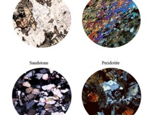 Geology Thin Sections x100