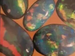 Opals of the Never Never Used Book by Robert G Haill